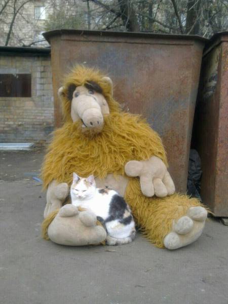 acid_picdump_46.jpg