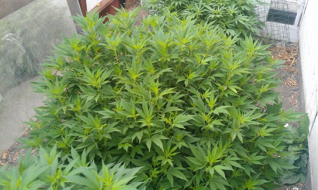 IMAG0119.jpg
