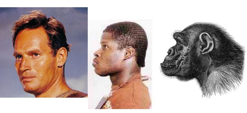 Evolution.jpg