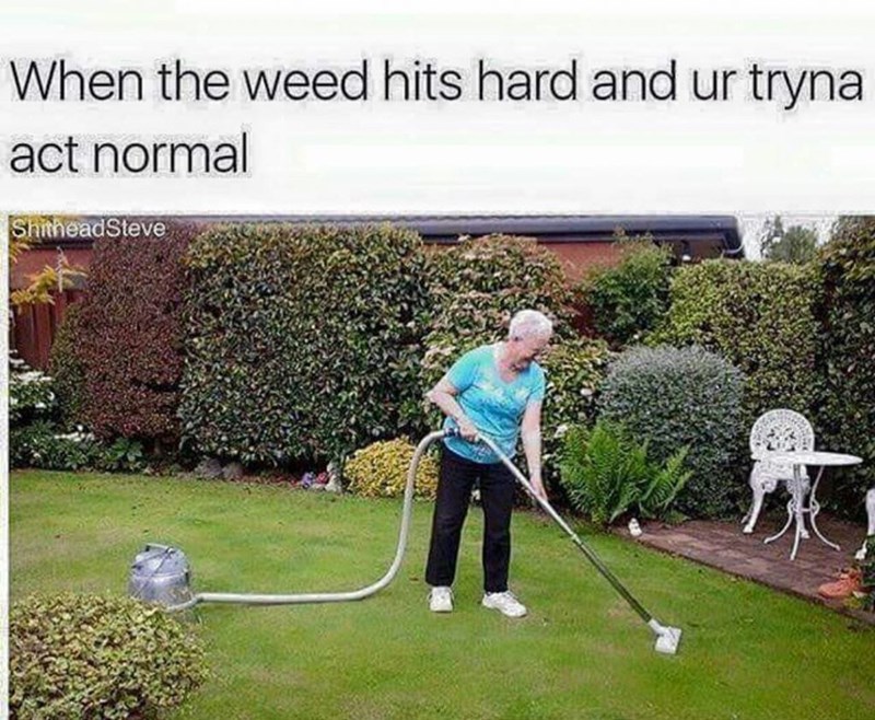 86364361.jpg