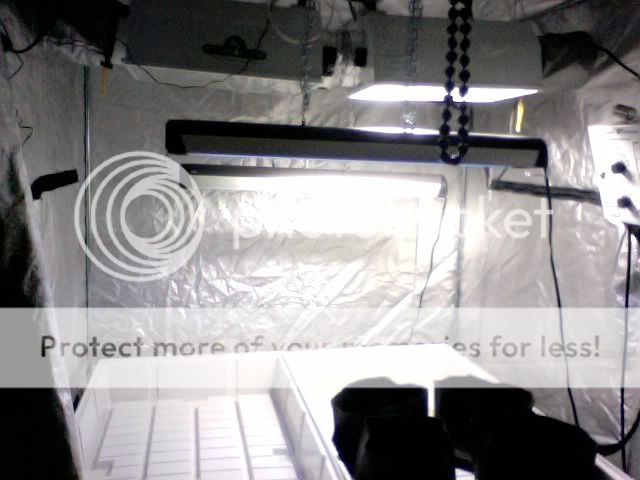 Photo16.jpg