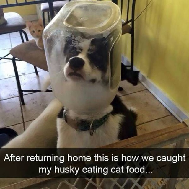 acid_picdump_106.jpg