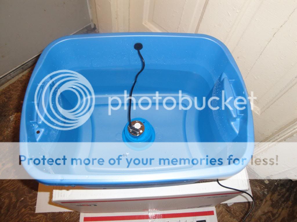 DSC02780.jpg