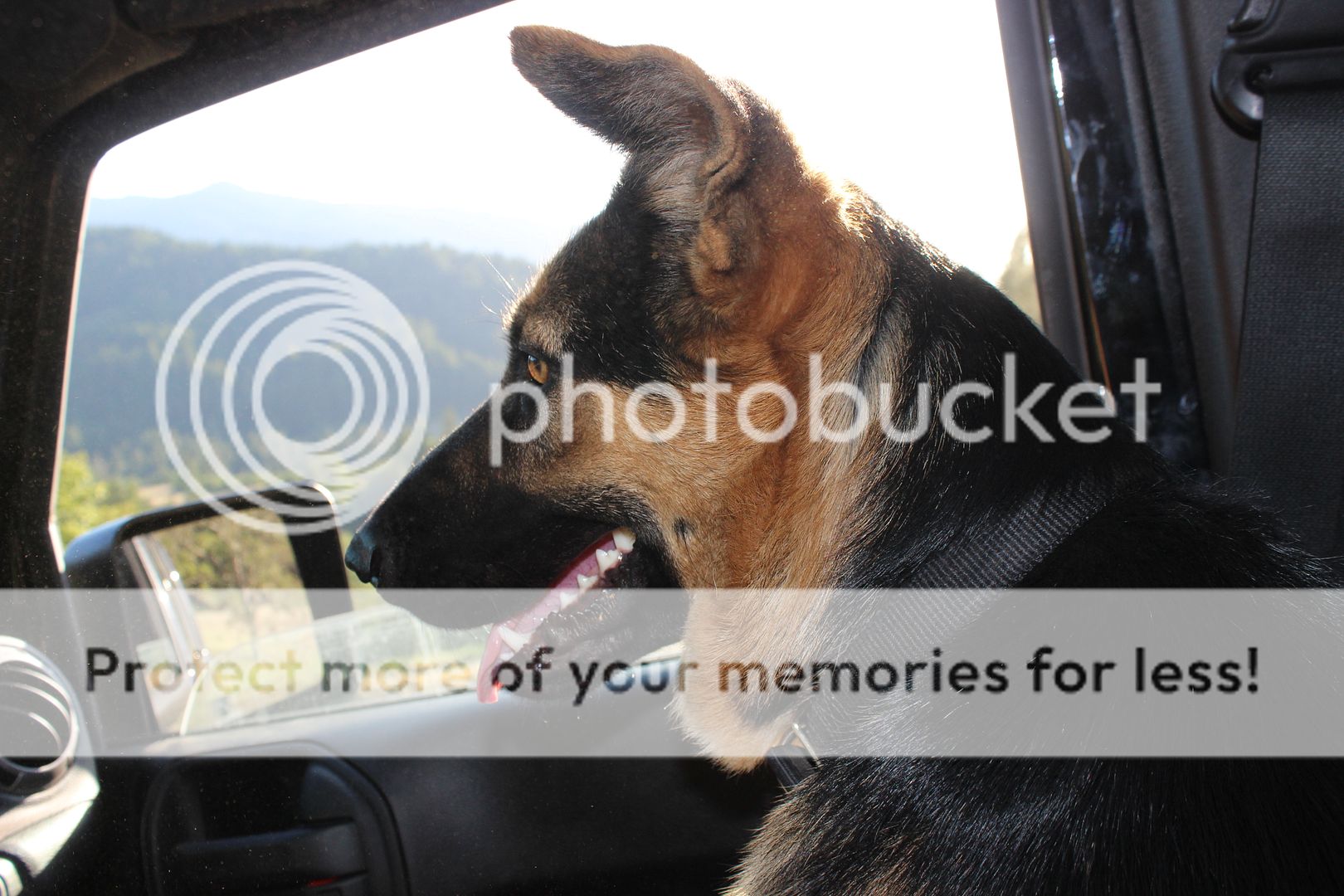 IMG_4340_zpswnbubp9u.jpg