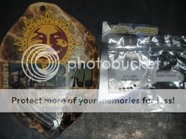 DSCN1555.jpg
