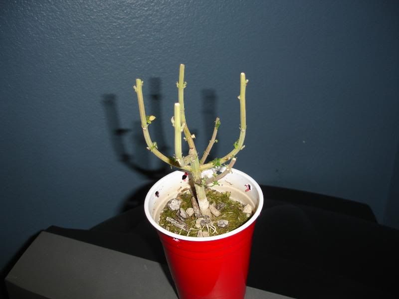 hjtyjuyjkdfgbsdtrh001.jpg