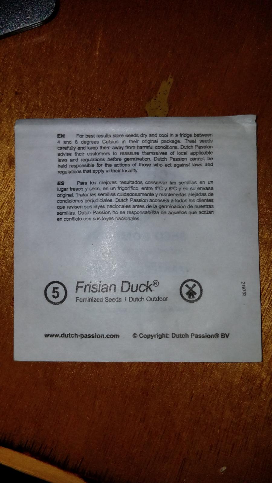 frisianduck.jpg
