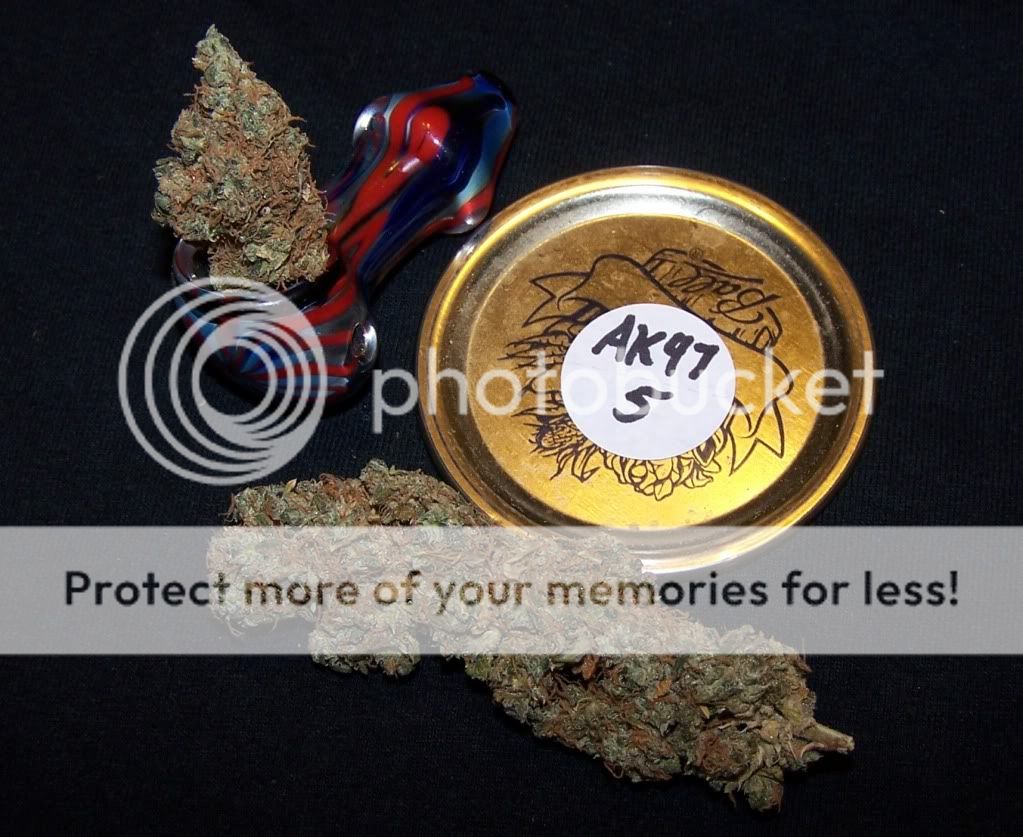 AK47-5Bud.jpg