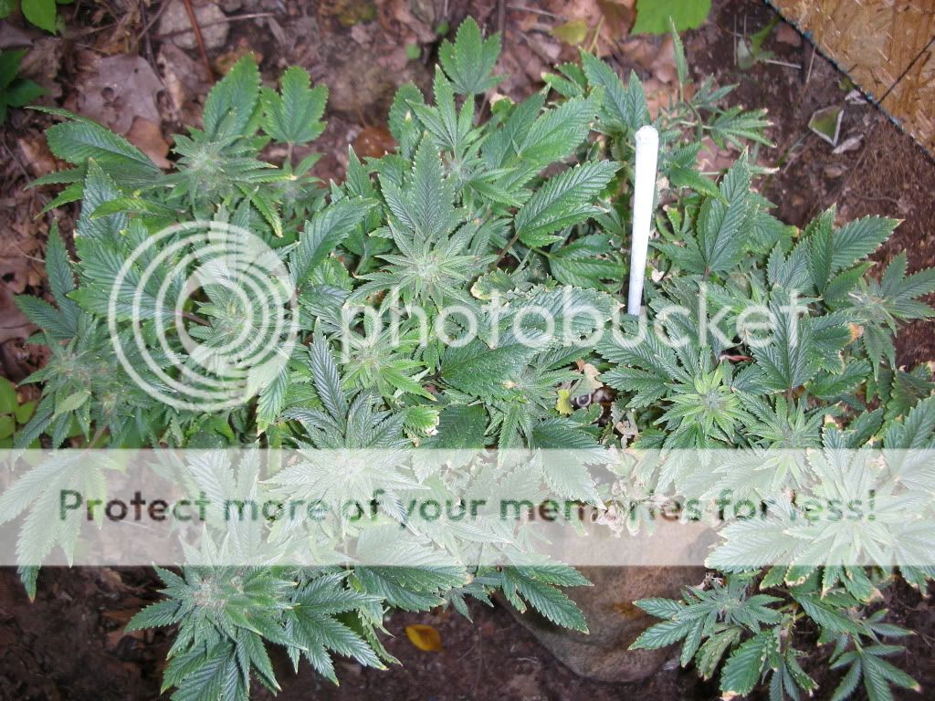 DSCN2827.jpg