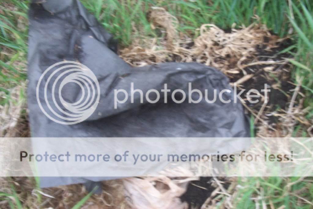 DCP_2376.jpg