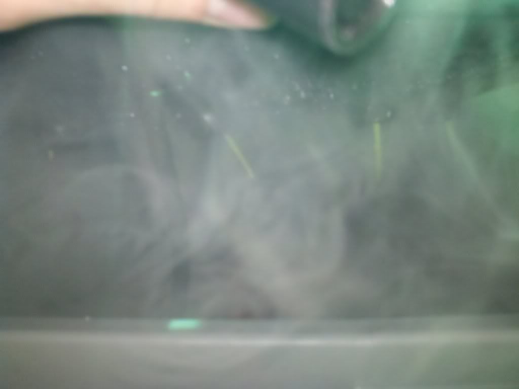 274100439_photobucket_16113_.jpg