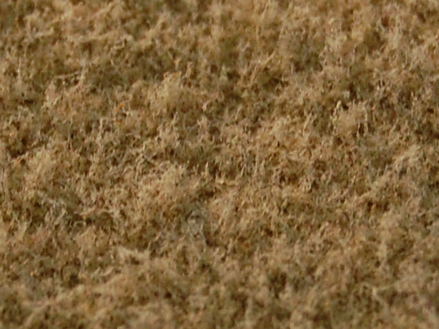 CSC-0468.jpg