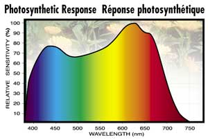 Plant-Human-Eye-Response_01.jpg