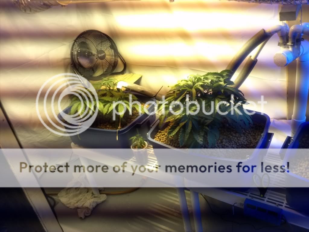 Day132.jpg