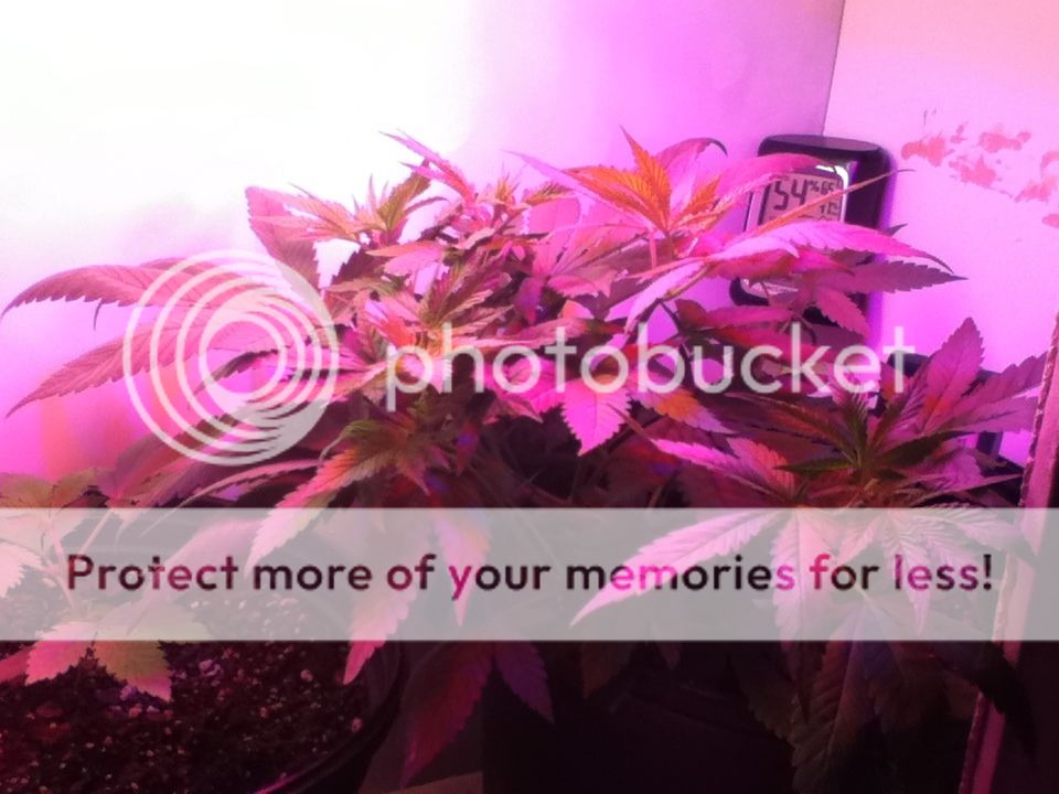 1db21083.jpg