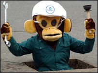 _40171838_monkey203.jpg