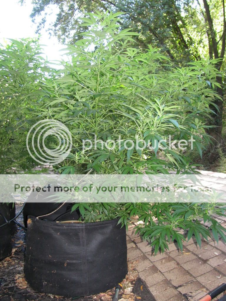 IMG_1847.jpg