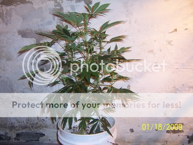 100_1074.jpg