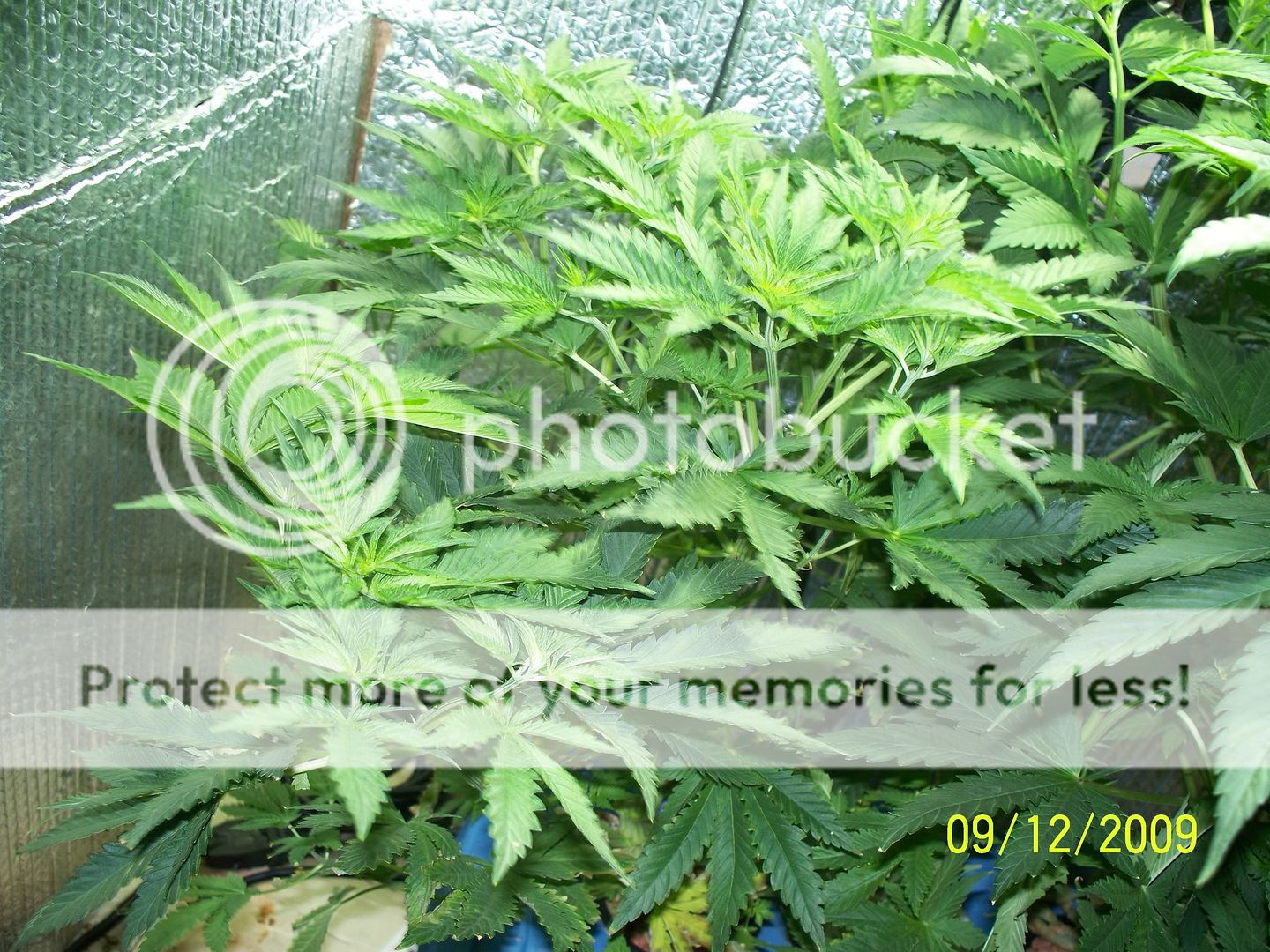 9-12-093.jpg