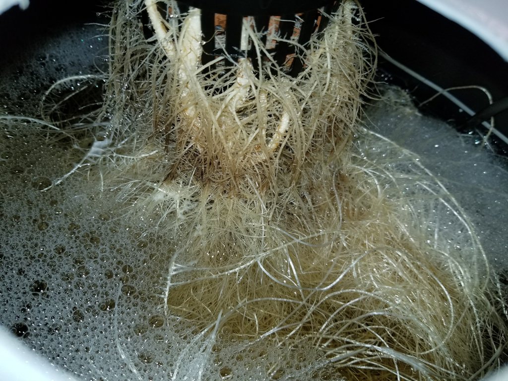 DjrMRQV.jpg