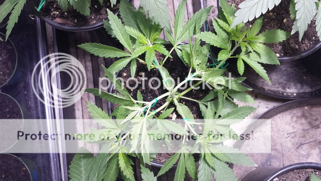 20150331_144145.jpg