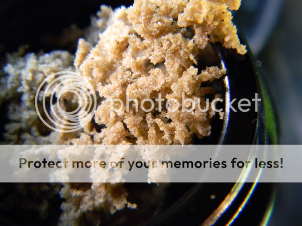 DSCN0665.jpg