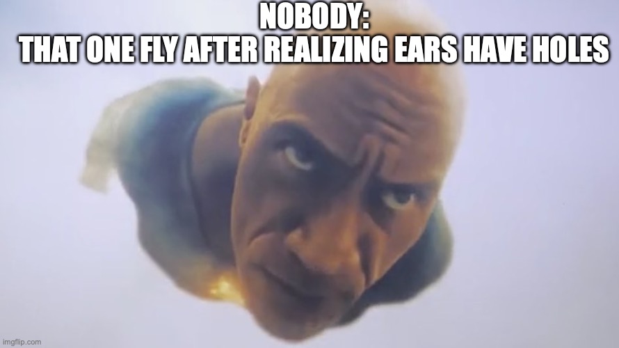 6ze27s.jpg