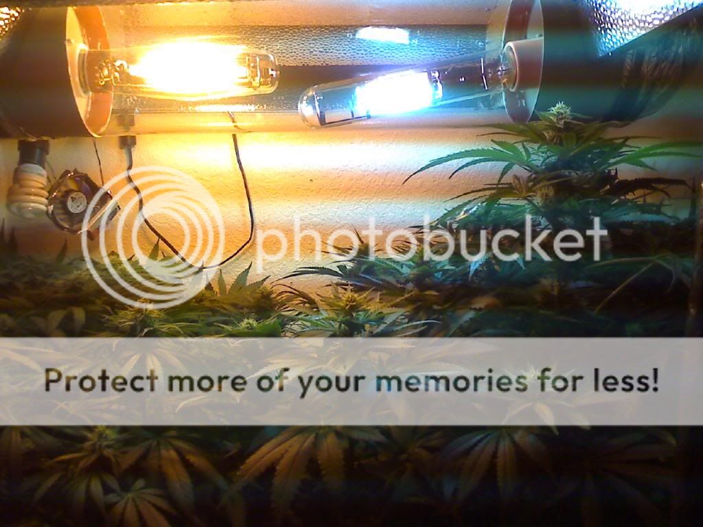 0417142235b_zpscb87e659.jpg