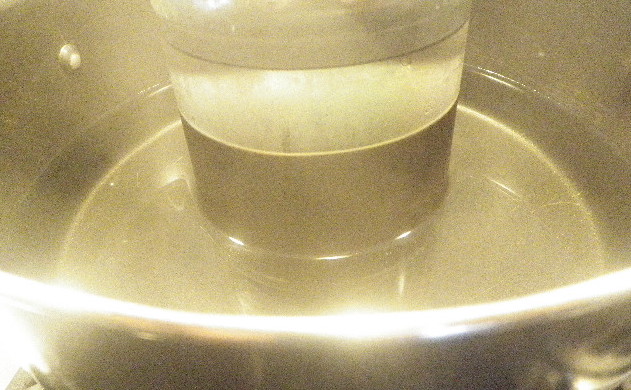 P1011856.jpg
