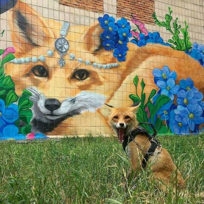 acid_picdump_85.jpg