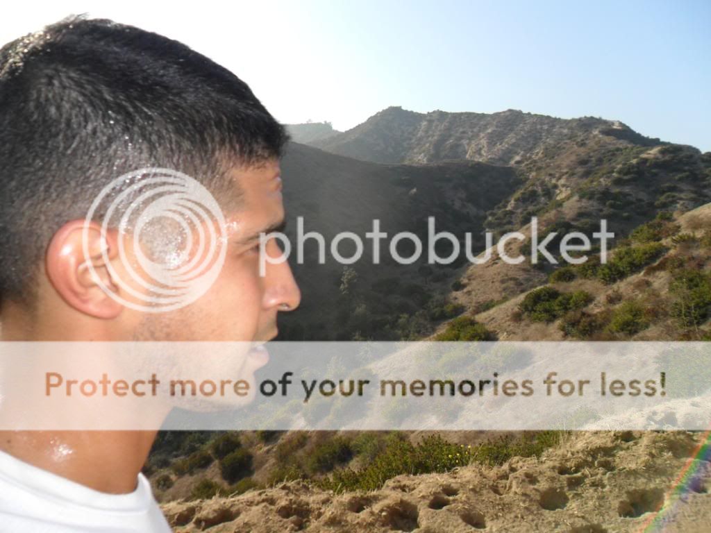 SAM_2925.jpg