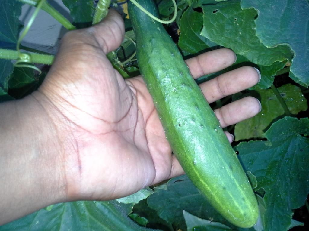 20140620_094046.jpg