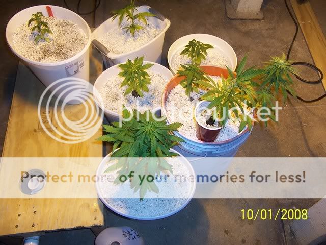 100_0602.jpg