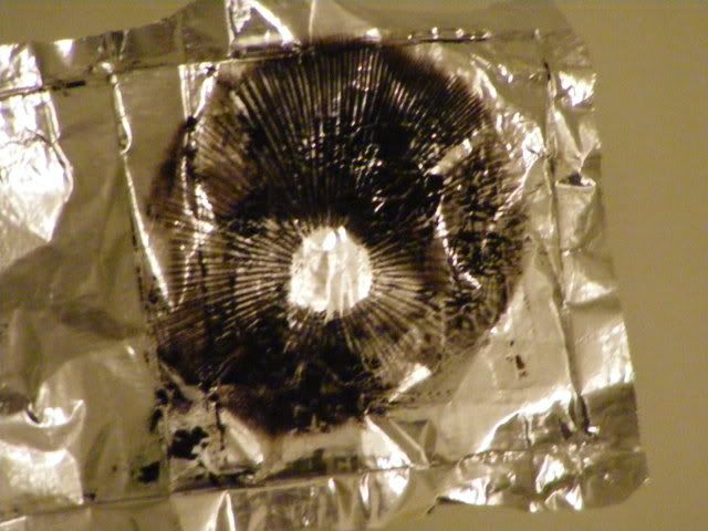 mushroomstuff023.jpg