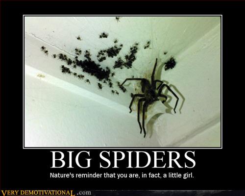 Big+Spiders.jpg