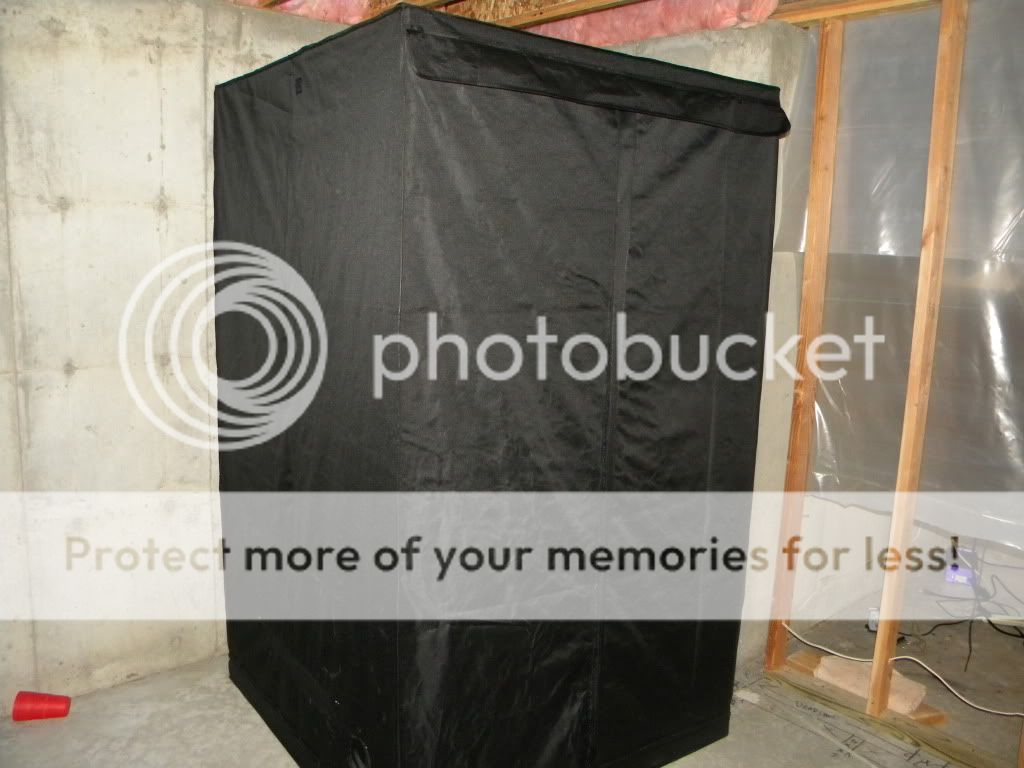 DSCN0728.jpg