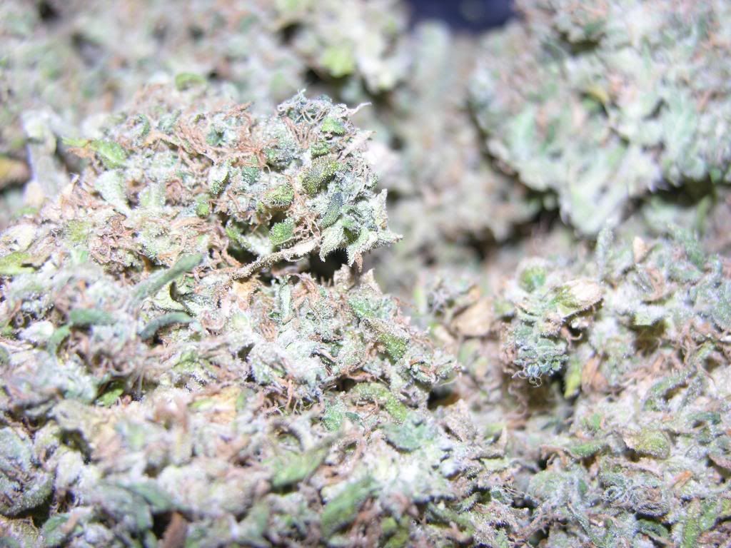 dry008.jpg