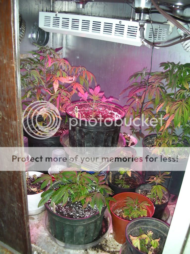 DSCN2677.jpg