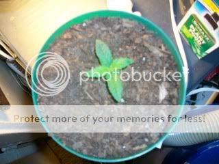 100_0506.jpg
