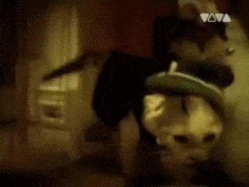 gifs_19.gif