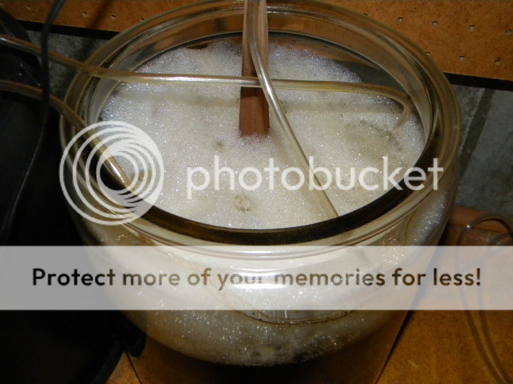 DSCN3860.jpg