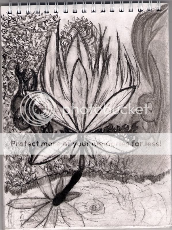 scan0002.jpg