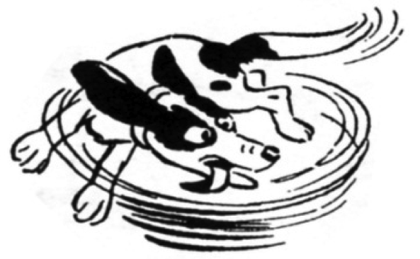 dog-chasing-its-tail.png