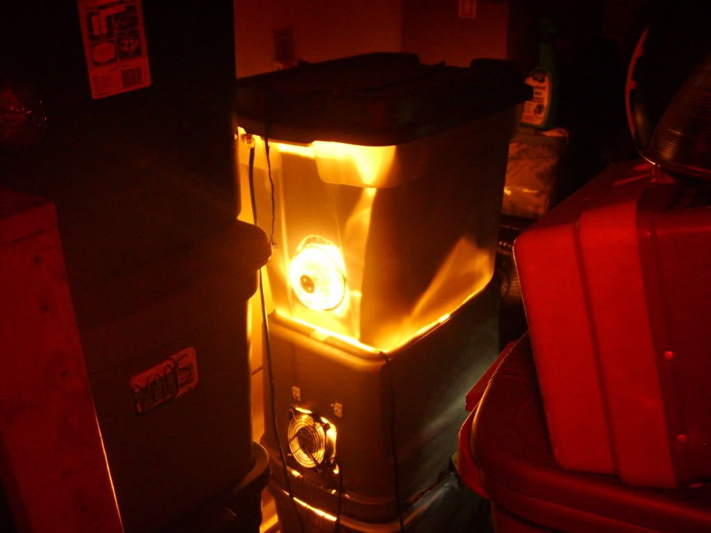 S5000361.jpg