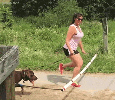 gifs_06.gif