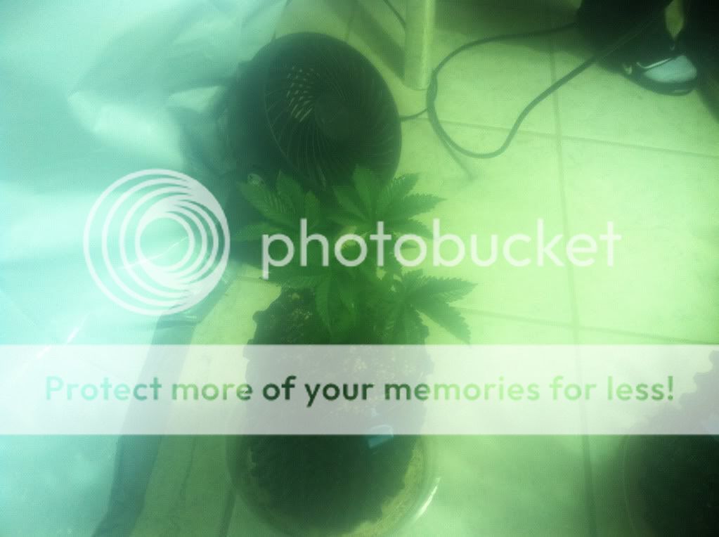photo-16.jpg