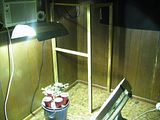 th_IMG_0381.jpg