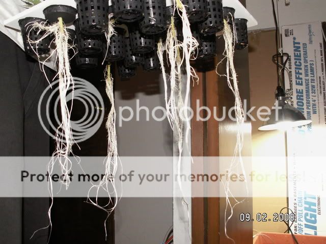PICT0240.jpg