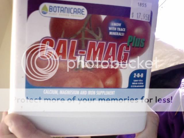 Photo23.jpg