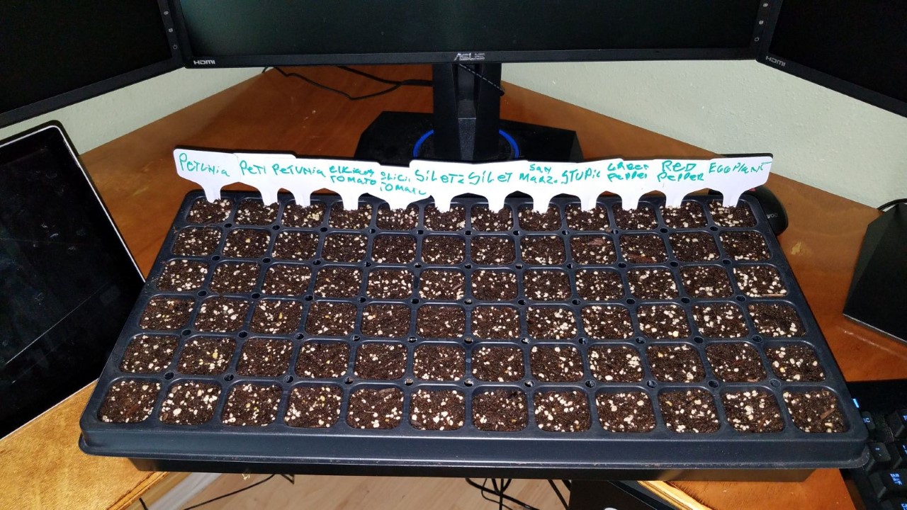 seedstarts319.jpg